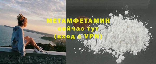 прущие грибы Дмитриев