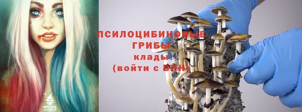 прущие крисы Дмитров