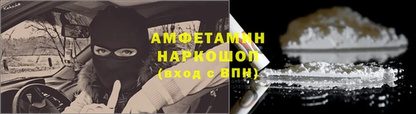 прущие грибы Дмитриев