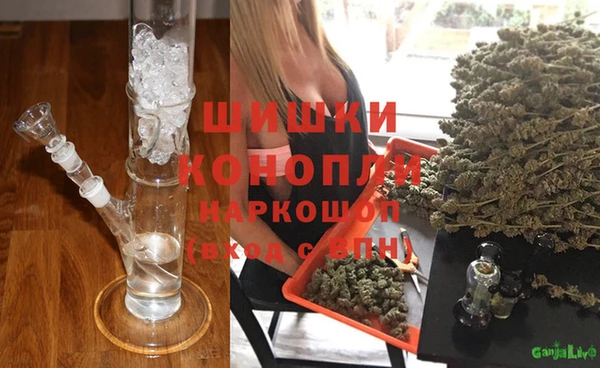 прущие грибы Дмитриев