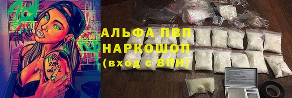 прущие грибы Дмитриев