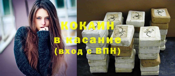 прущие грибы Дмитриев