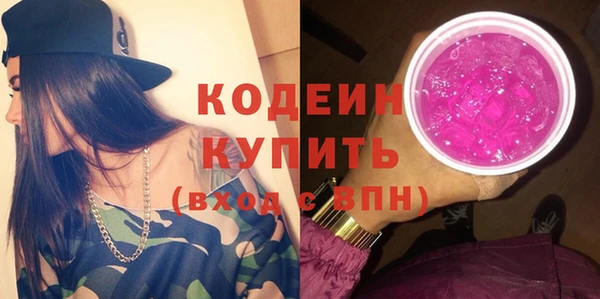 прущие грибы Дмитриев