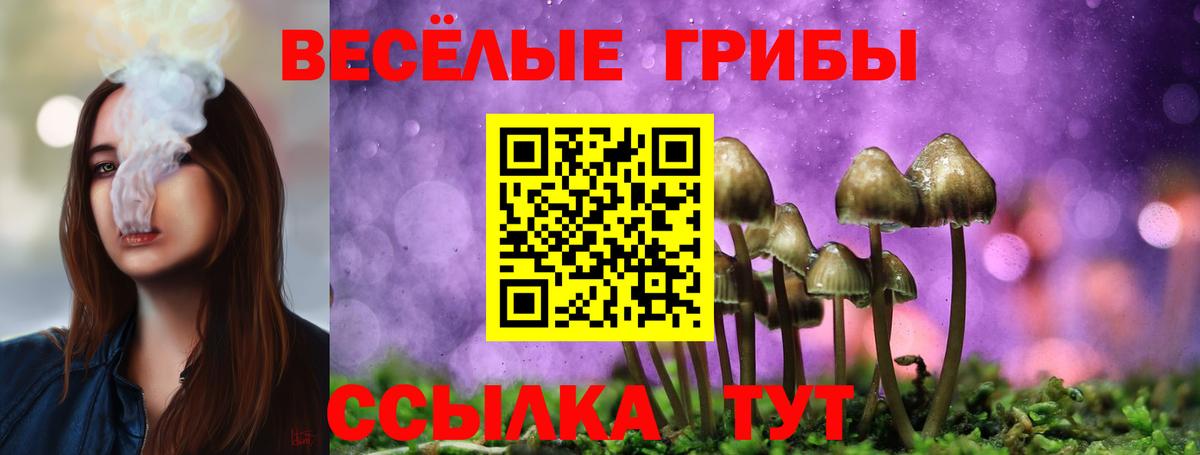 Галлюциногенные грибы мухоморы  Вход с VPN  Богородск 