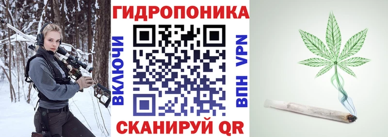 Бошки Шишки планчик  Богородск 